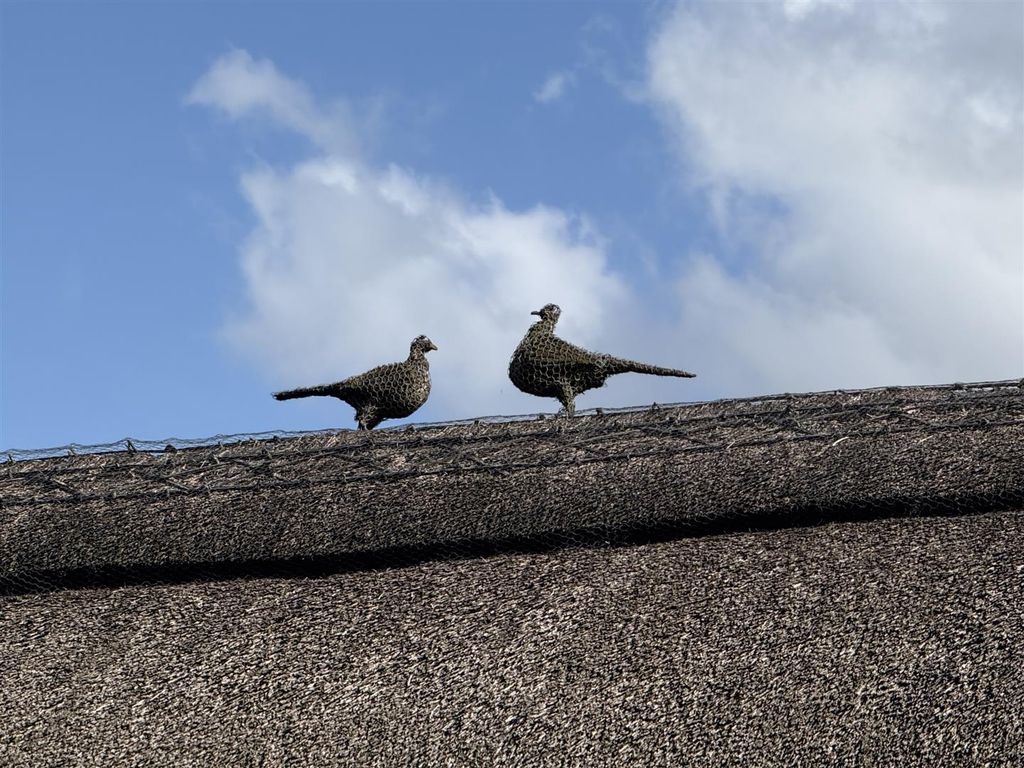 Property photo 2 of 24 Img_0839.Jpg