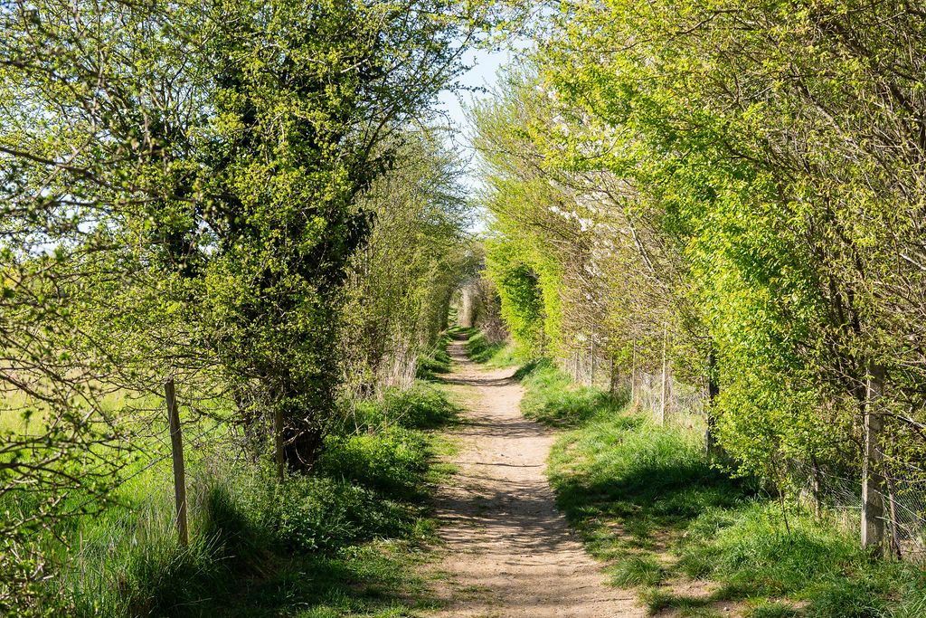 Property photo 3 of 17 Surrounding Woodlands