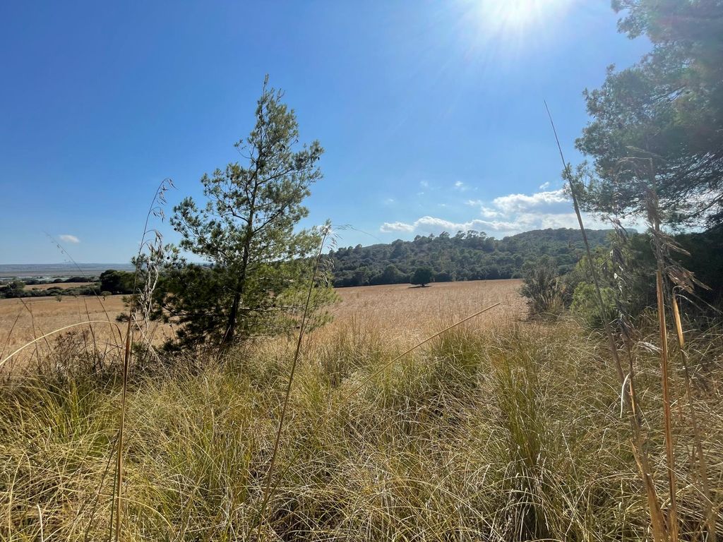 Property photo 2 of 7 010d80dc-Fba2-40Ca-B8B3-Cf5062Fcf213.Jpg