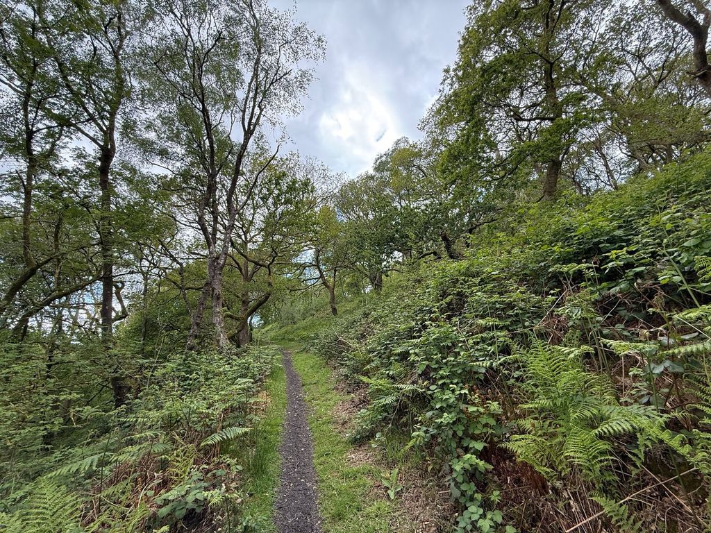 Additional image 11 of Farm for saleYnyswen, Penycae SA9