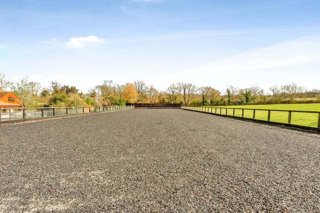 Property photo 2 of 20 Arena 2