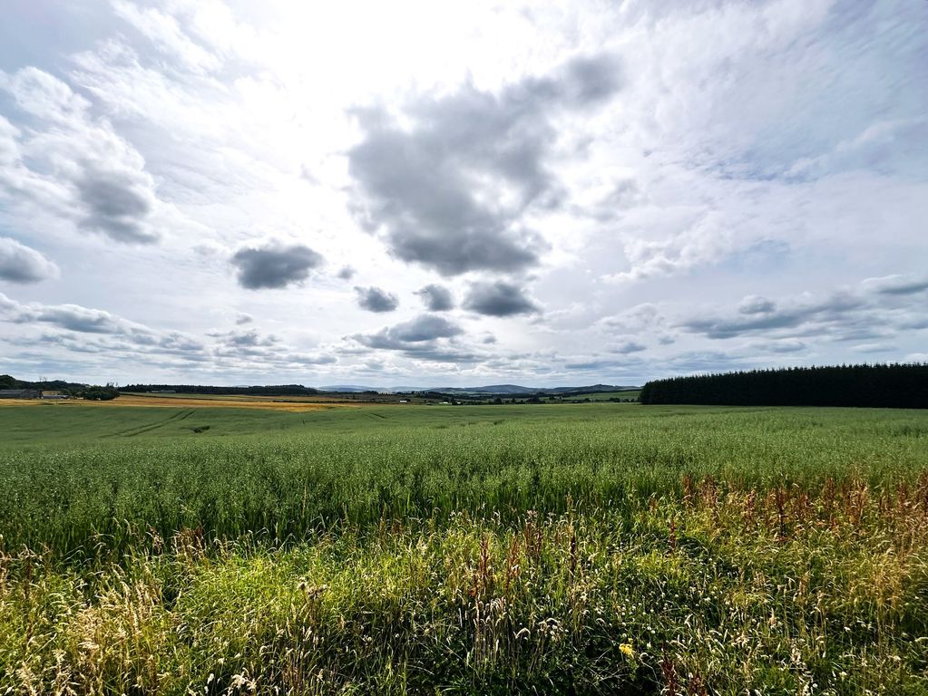 Property photo 1 of 4