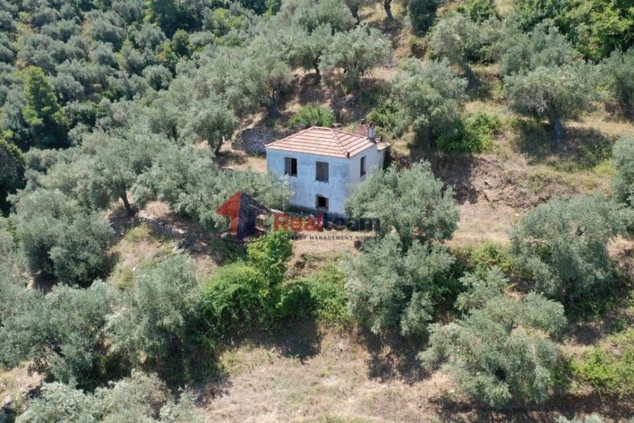Property photo 1 of 23