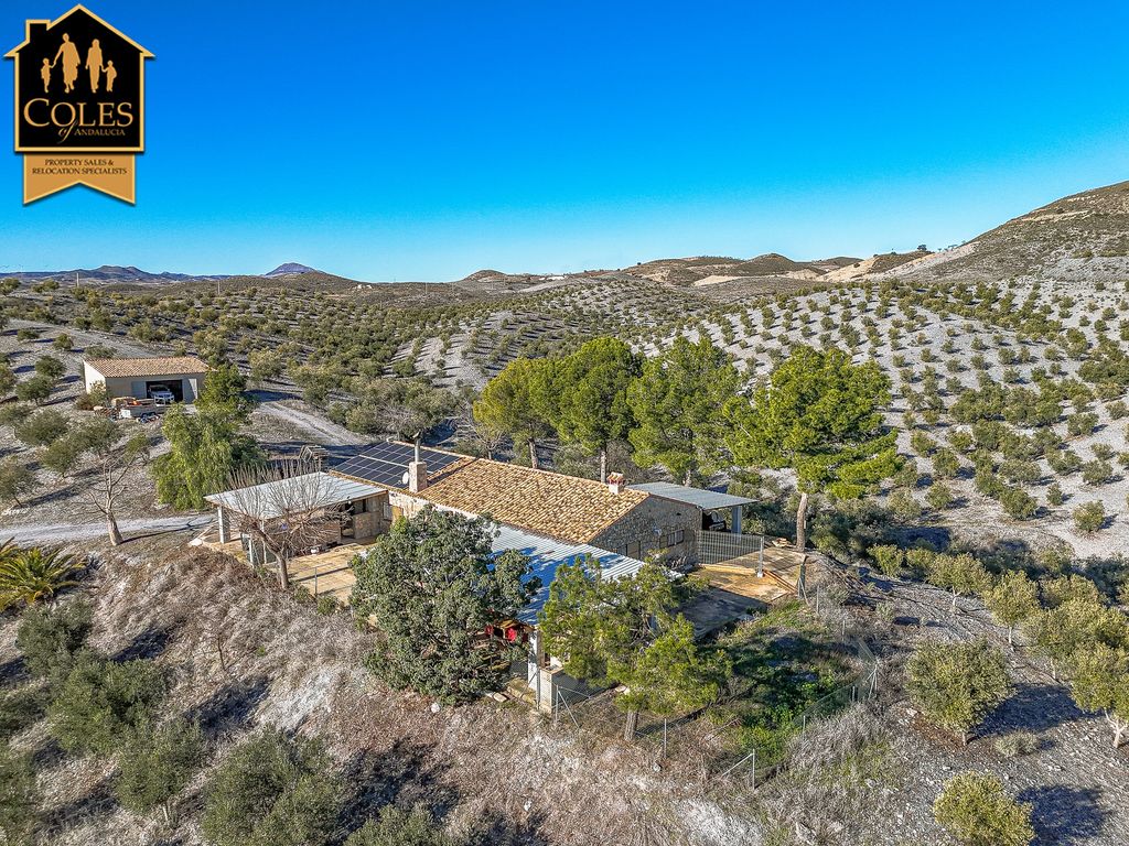 Property photo 2 of 42