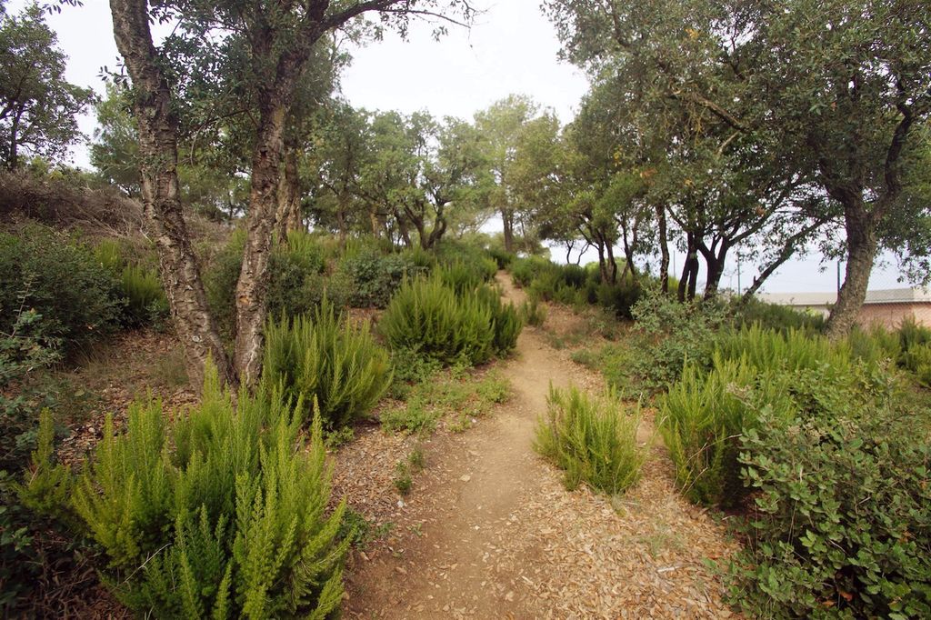 Property photo 1 of 4 Large Plot Of Land For Sale In A Quiet Urbanización In Begur