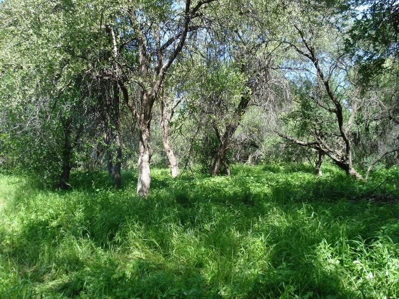 Property photo 3 of 26