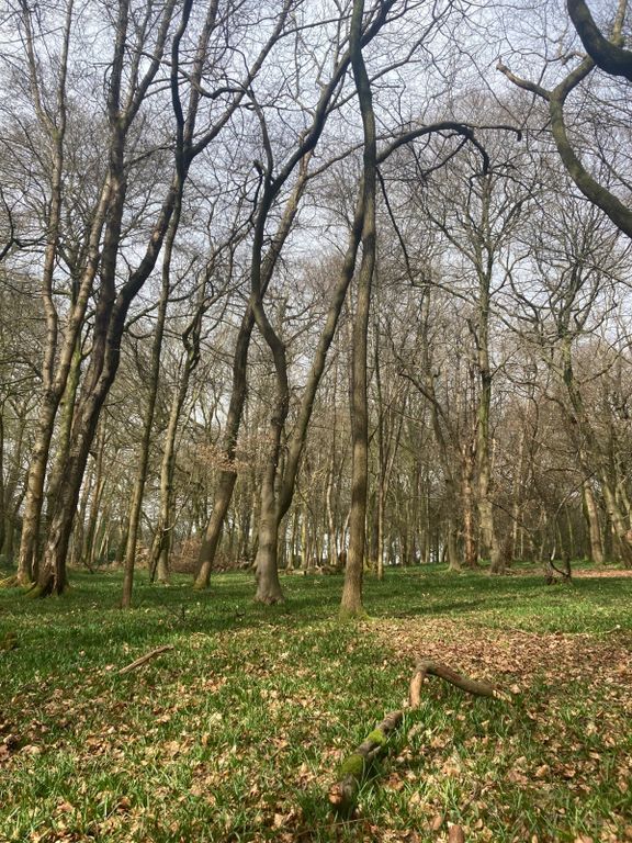 Property photo 2 of 5 Picture No. 02