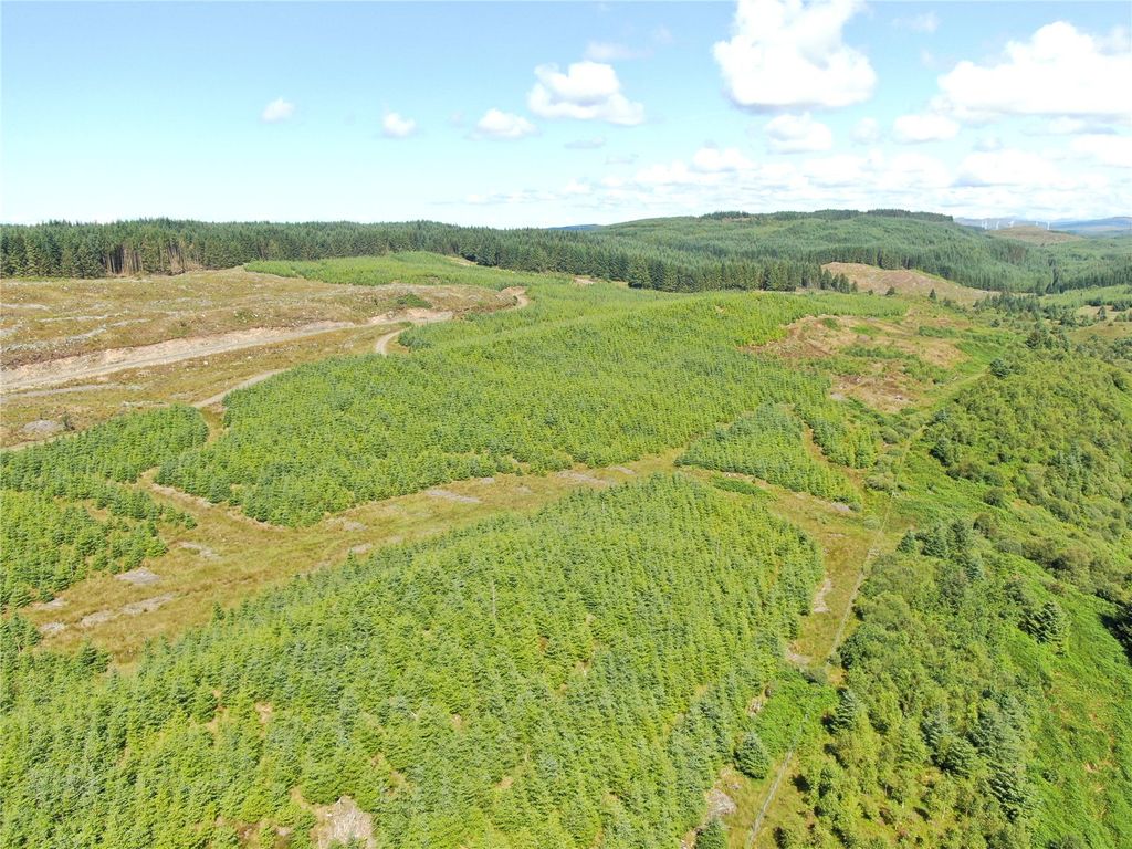 Property photo 3 of 13 Picture No. 03