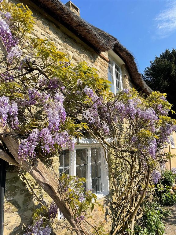 Property photo 3 of 25 Wisteria Photo From Owner Taken In Summer c.Jpg