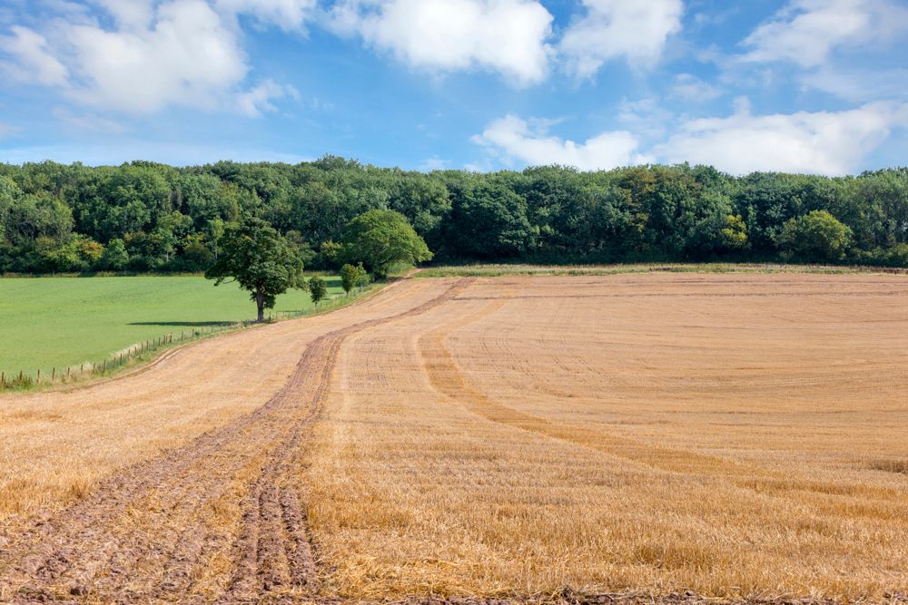 Property photo 3 of 11 Land