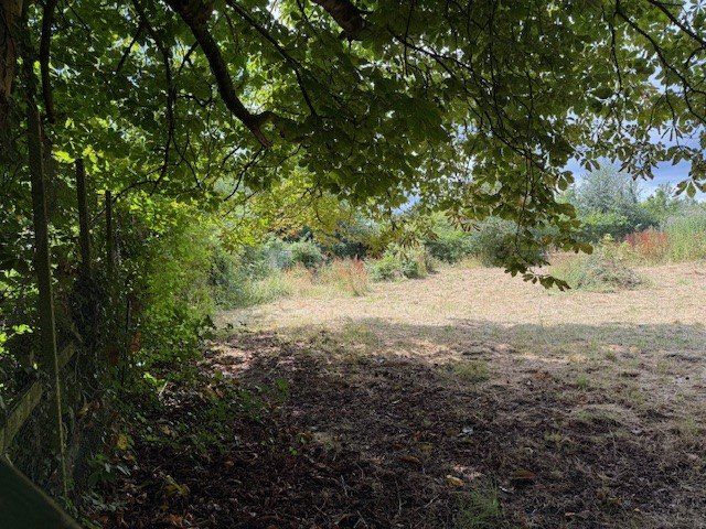 Property photo 2 of 3 Picture No. 12