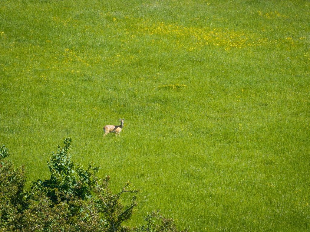 Additional image 7 of Land for saleLand Off Highambury Lane, Pulloxhill, Bedford, Bedfordshire MK45