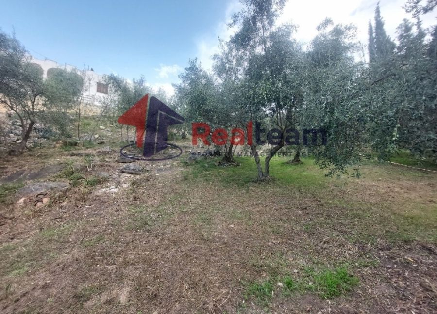 Property photo 2 of 25