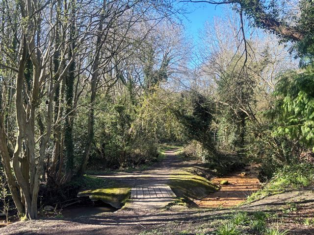 Property photo 2 of 21 Woodland River