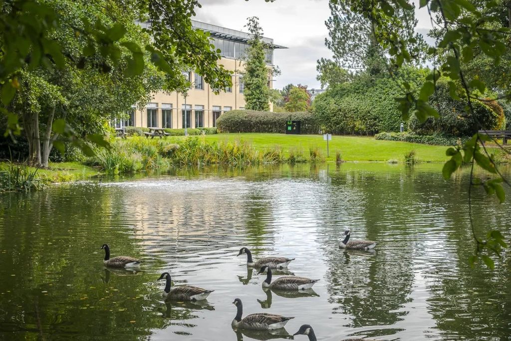 Property photo 3 of 30 1A17Ec404c38c622Fb2Aae80966F59F7.Jpg