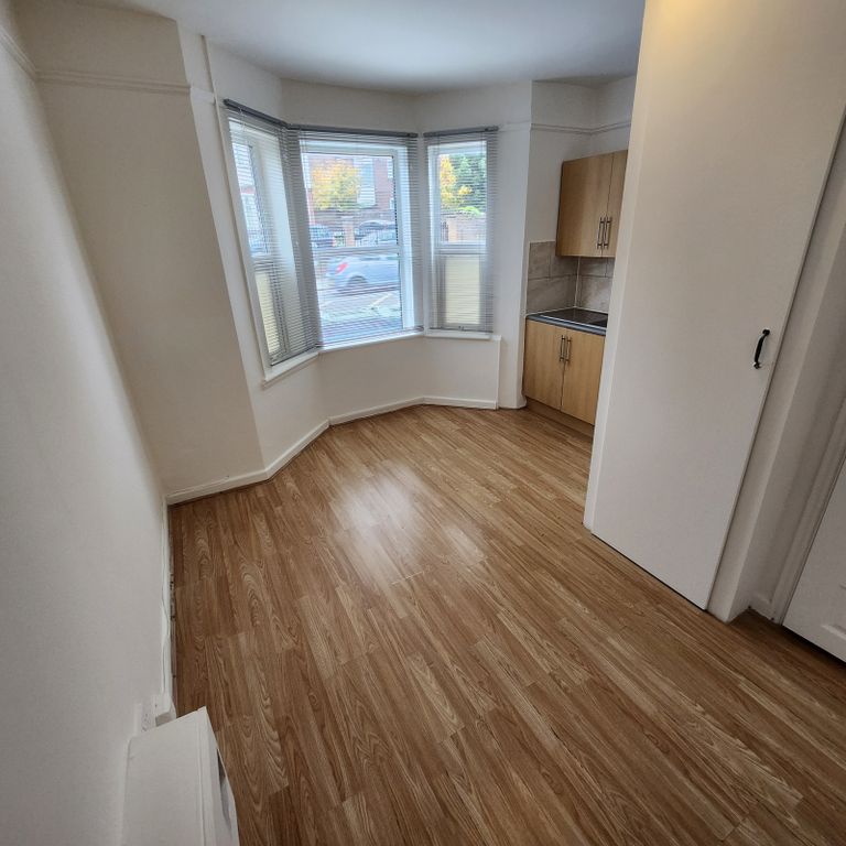 Property photo 3 of 22 Bedsit One Single