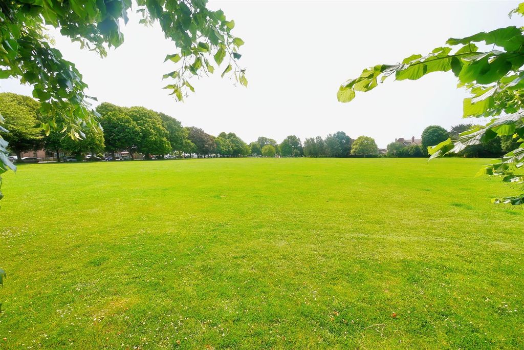 Property photo 1 of 10 Field 305.Jpg