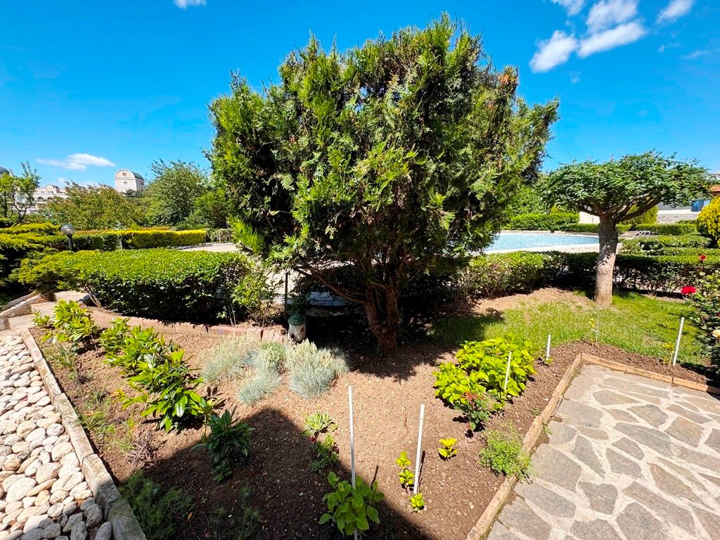Property photo 3 of 13