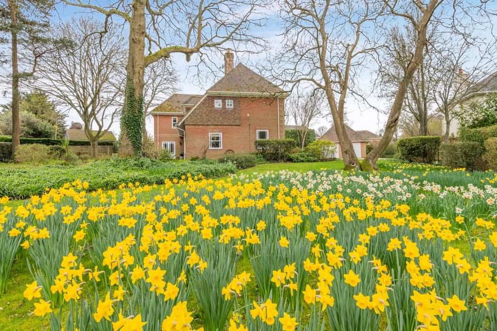 Property photo 1 of 23 Picture No. 34