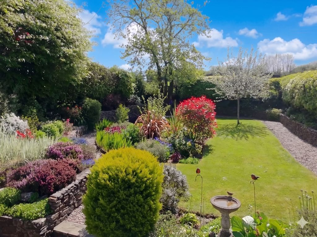 Property photo 1 of 22 Ewemove South Molton - Garden