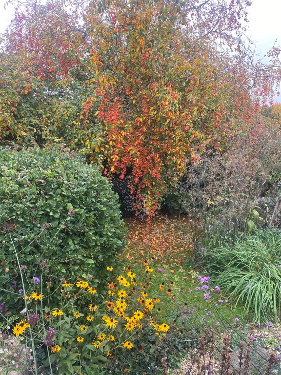 Additional image 20 of 3 bed semi-detached house for saleNew Dixton Road, Monmouth NP25