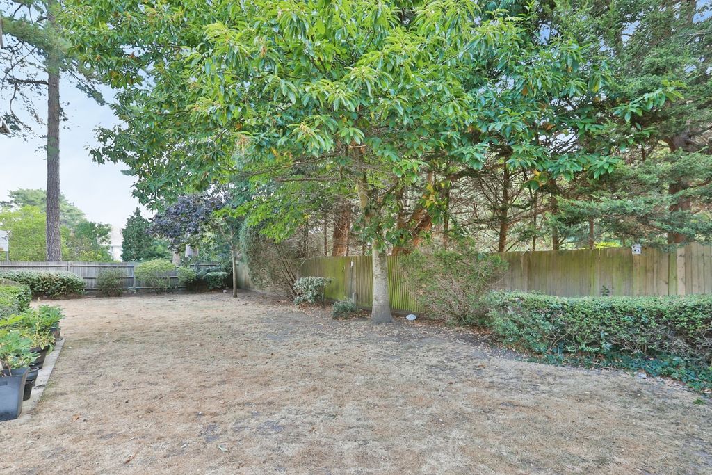 Property photo 3 of 16 Pbox-Img.Jpg