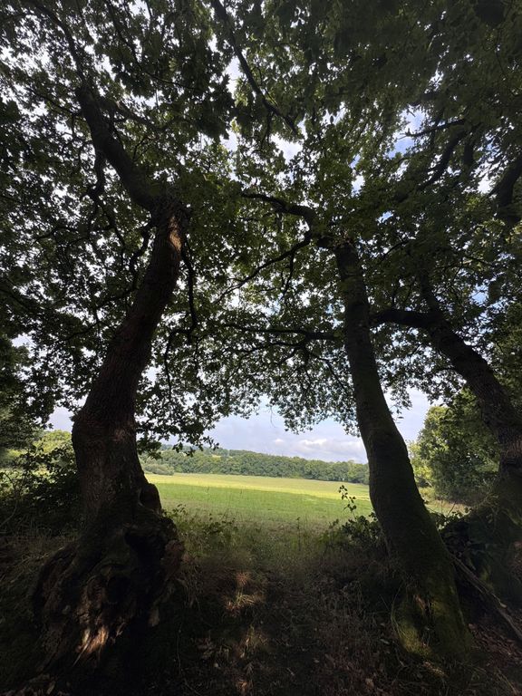 Property photo 2 of 2