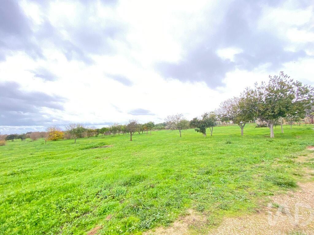 Property photo 2 of 30