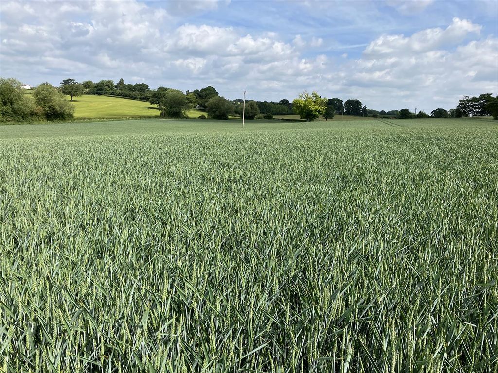 Property photo 2 of 5 Img_0594.Jpg