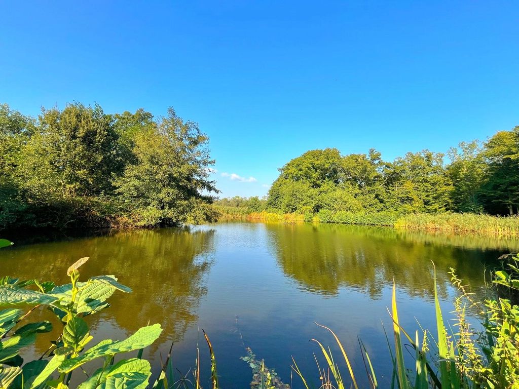 Additional image 28 of 6 bed detached house for saleWhatlington Road, Battle, East Sussex TN33