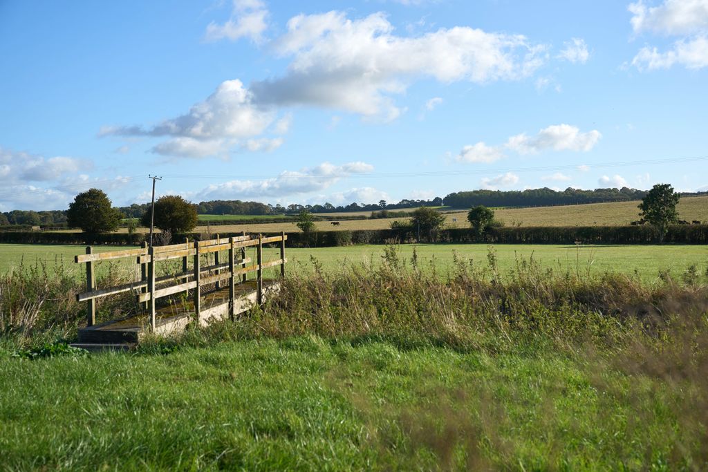 Property photo 3 of 11 Local Area