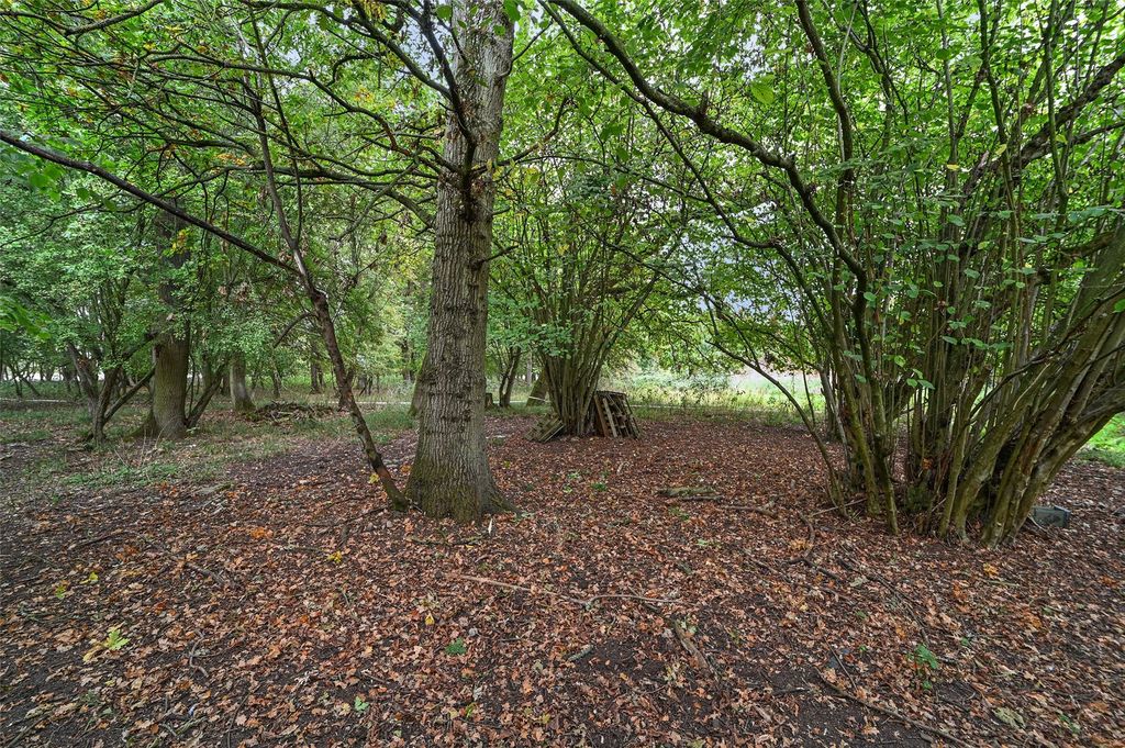 Property photo 3 of 17 Picture No. 06