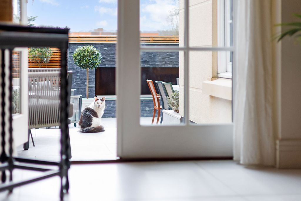 Property photo 3 of 32