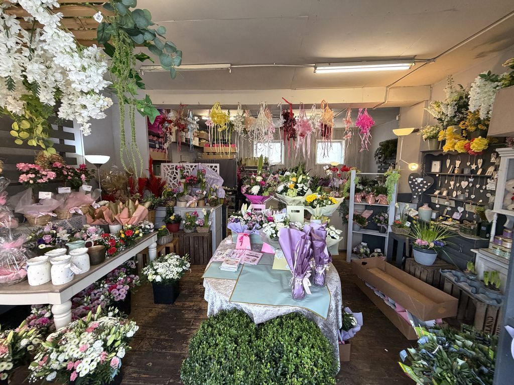 Property photo 2 of 6 Photo 1