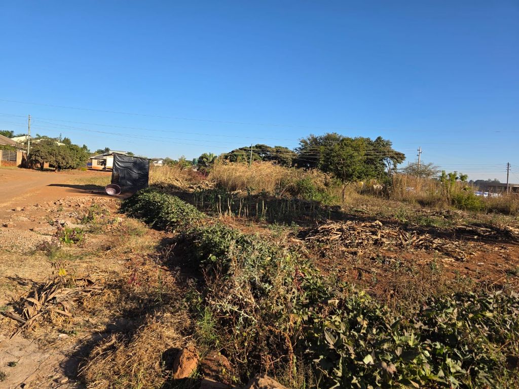 Property photo 3 of 5 Open Dry Lot With Scattered Shrubs And Overgrown Vegetation Along A Dirt Road Under A Clear Blue Sky; A Small Black Structure And A Discarded Container Sit Near The Roadside, With Power Lines In The Distance.