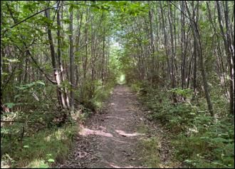 Property photo 2 of 4 Woods1.Png