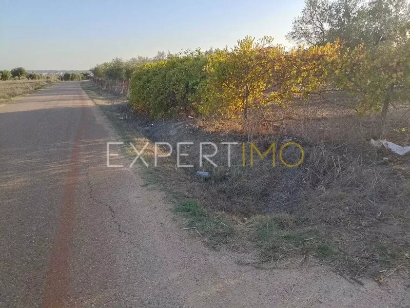 Property photo 3 of 25 Img 2