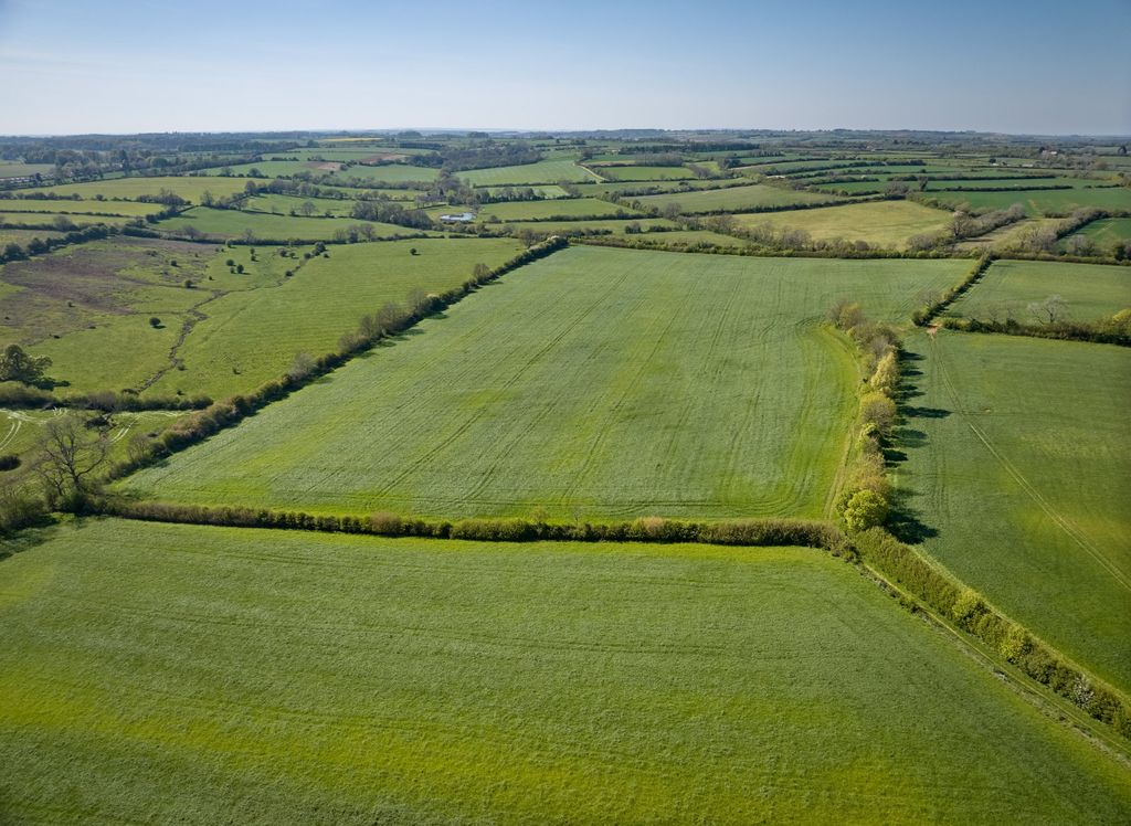 Additional image 8 of Land for saleLittle Tew, Chipping Norton, Oxfordshire OX7