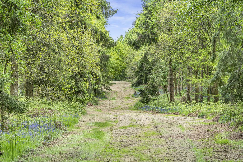 Property photo 2 of 31