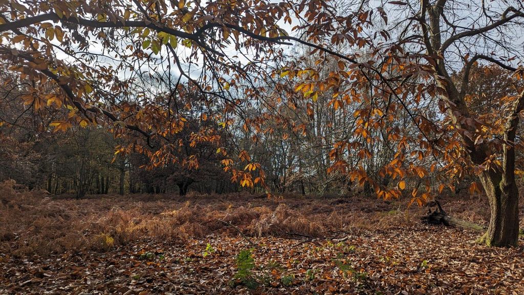 Property photo 2 of 12 Img-20251028-Wa0013.Jpg