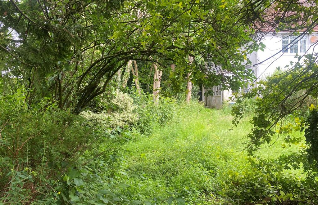 Property photo 3 of 5