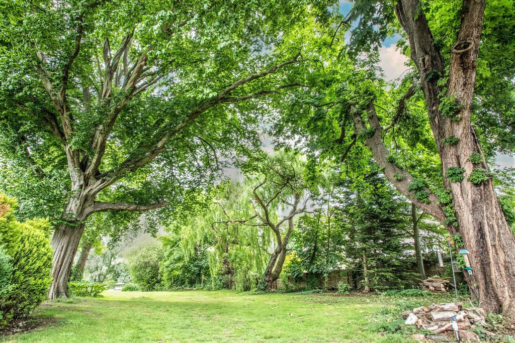 Property photo 3 of 20