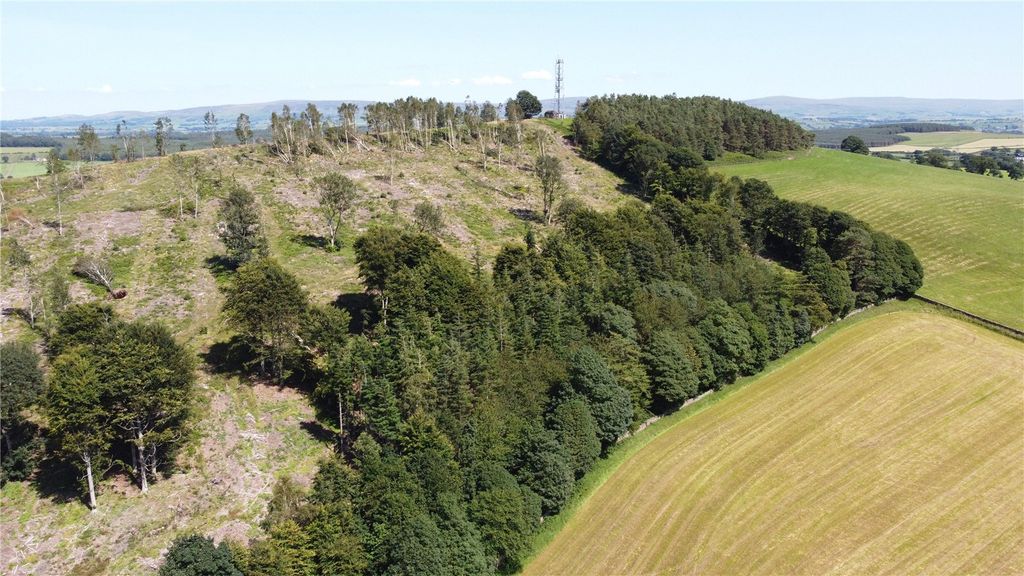 Property photo 2 of 7 Picture No. 01