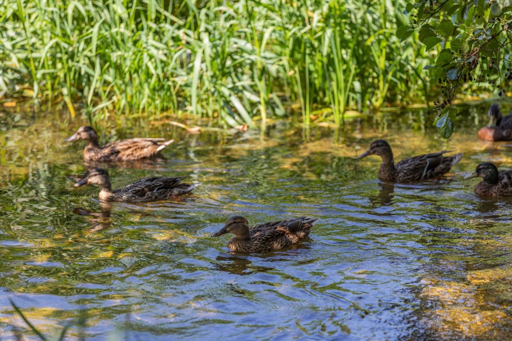 Property photo 3 of 22 Detail