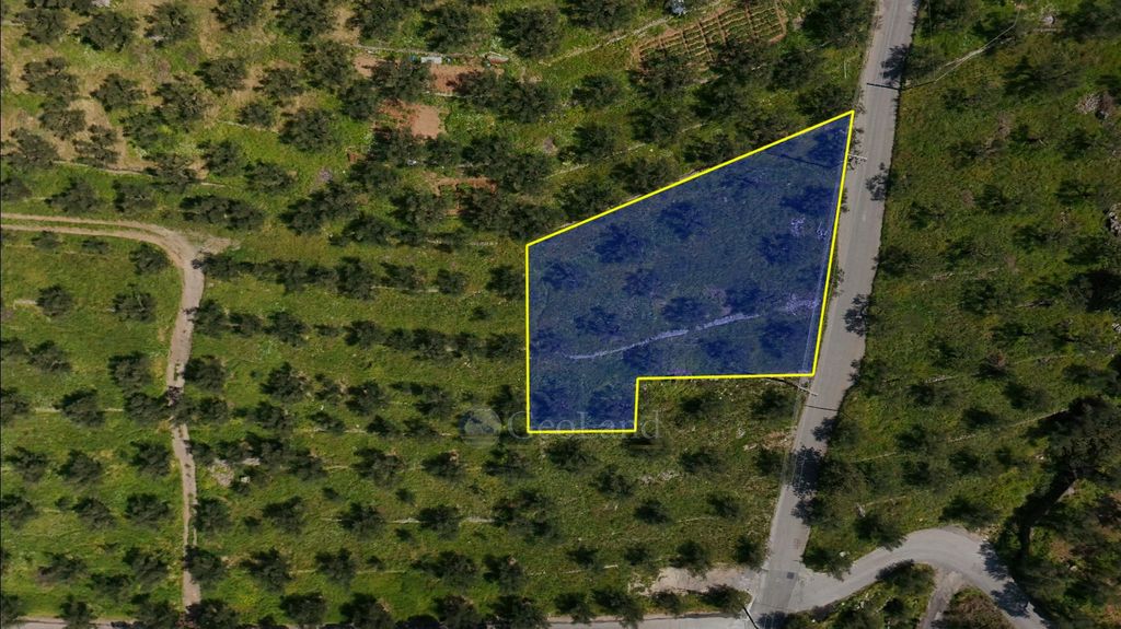 Property photo 3 of 24