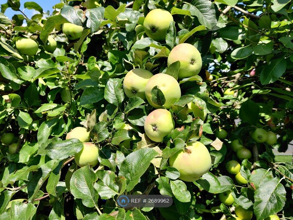 Property photo 3 of 10