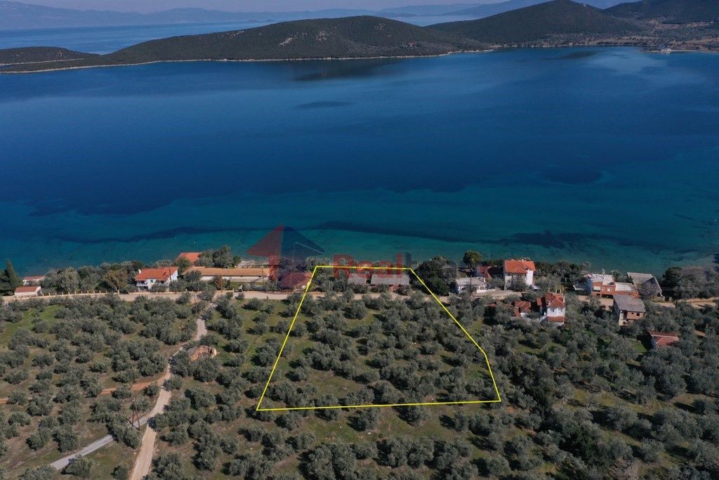 Property photo 3 of 25