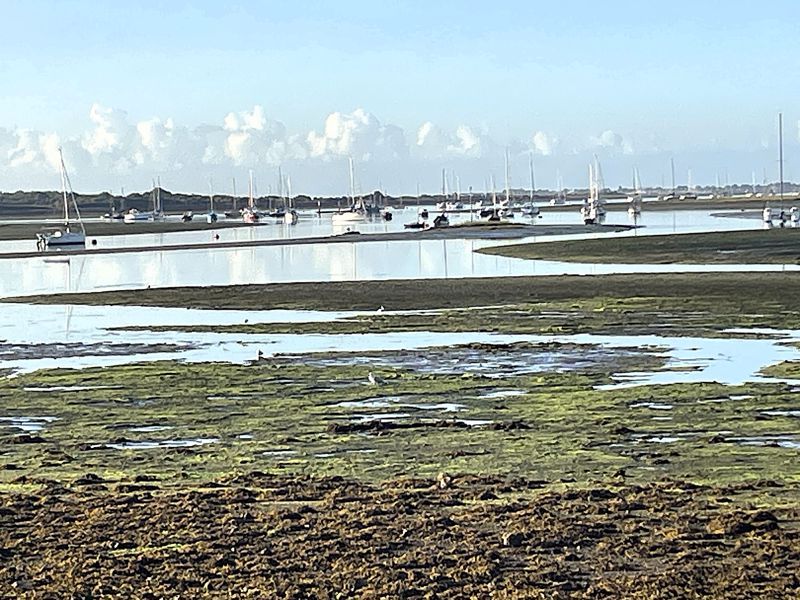 Property photo 1 of 11 Photo 13