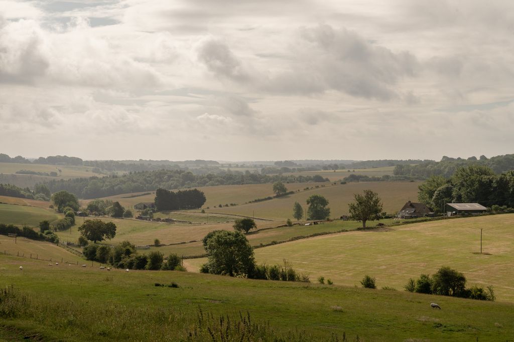Property photo 3 of 30 295545 - _A747756.Jpg