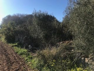 Property photo 3 of 7 Img_4853.Jpg